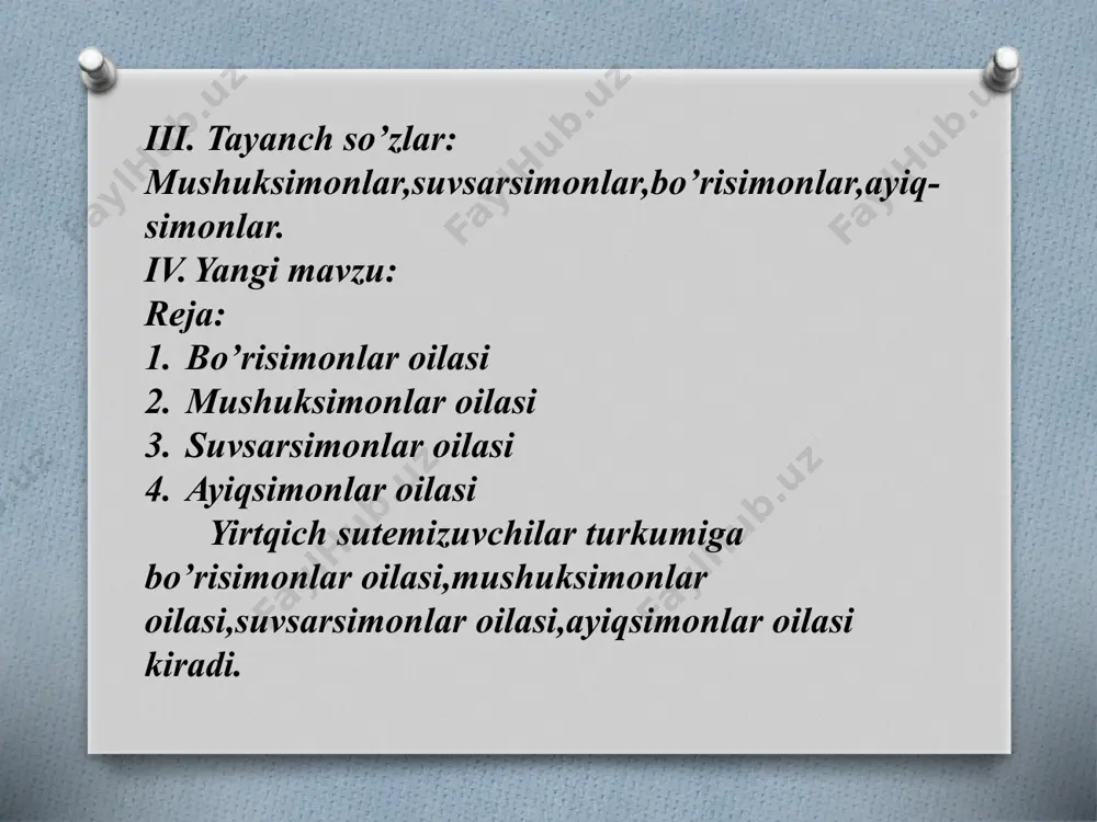yirtqich sutemizuvchilar turkumi - Page 5