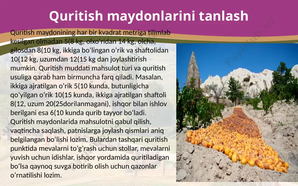 m, balandligi 2,5 m keladigan ikki xonadan iborat, hajmi 27–30 kubmetr bo‘ladi. meva va uzumni qaynoq ishqor eritmasiga botirib olish uchun o‘choqlar qurilib, ularga har biri 300–400 litr suv sig‘adigan ikkita cho‘yan qozon o‘rnatiladi. bu qozonlar galma-gal ishlatib turiladi. 100 tonna meva va uzumni quritish uchun o‘rta hisobda quyidagilar bo‘lishi lozim: – 0,6 gektar quritish maydonchasi; 5–6 ming dona sathi 60x90 sm li taxta padnislar; hajmi 100 x 100 sm li 10—12 ta dudlash qutisi yoki dudlash kamerasi; ishqor eritmasiga botirib olish uchun ikkita qozon; mevalarni navlarga ajratish va to‘g‘rash uchun ishlatiladi-gan 5–6 ta stol yoki 2–3 ta tasmali transportyor va uning yoniga qo‘yiladigan 10—12 metr uzunlikdagi stol; 200–250 kg kaustik soda, 150—180 kg oltingugurt. quritish uchun ishlatiladigan anjom va aslahalar. meva va uzumni blanshirovka qilish. blanshirlash – meva va uzumni qaynoq suvga, ishqorli hamda tuzli eritmalarga botirib olish yoki bug‘lash demakdir. mevalar har xil maqsadlarda blansh-lanadi. chunonchi ­ uzum …