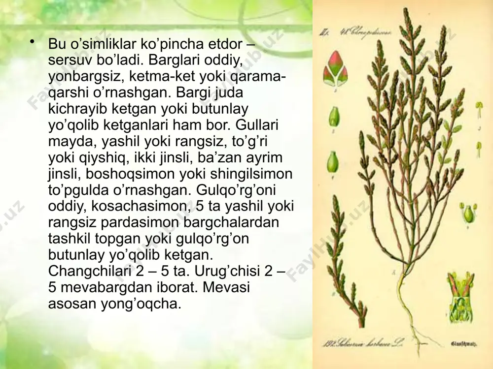 sho’radoshlar oilasi - Page 3