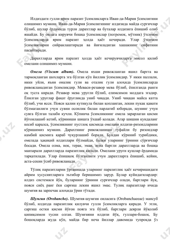 -секин ўсиб ривожланади. тўлиқ паразитларни ўрганишда уларнинг паразитлик ҳаёт кечиришидаги айрим хусусиятларига эътибор беришимиз зарур. булар қуйидагилардир: илдиз системаси йўқ, буларнинг ўрнини сурғичлар олади, барглари йуқ, пояси сиёҳ ранг ёки сарғиш лекин яшил эмас. тулиқ паразитлар ичида шумғия ва зарпечак алоҳида ўрин тўтади. шумғия (оrobanche). шумғия-шумғия оиласига (оrobanchaeeae) мансуб бўлиб, илдизда паразитлик қилувчи гулли ўсимликларга қиради. у этли, саргиш остки қисми йўғон пояга эга бўлиб, барглари деярли йўқолиб қипиқсимон тусни олган. шумғияни илдизи йўқ, гуллари-бошоқ. бу бошоқларда жуда кўп, майда бир неча йиллар давомида тупроқда ўз унувчанлигини йуқотмайдиган уруғлар етилади. шумғия бир йиллик ўсимликдир. хужайин ўсимликнинг илдизидан ажратилган моддалар таъсирида шумғия уруғи униб чиқиб ўсимликни илдизига ёпишиб ривожлана бошлайди. илдизга ёпишган шумгиядан юмалоқ куртак ҳосил бўлади. ундан эса илдиз ичига ўсиб кирган сурғичлар юзага келади, сўнгра ўсимликнинг пояси ривожланади. шумғияни қўйидаги турларининг зарари каттадир, шулардан кунгабақар шумғияси (оrobanche cunana) шохланган шумғия (оrobanche ramosa), миср шумғияси (оrobanche aeqipthica) сариқ шумғия (оrobanche …