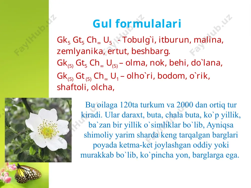 ra'noguldoshlar oilasi - Page 3