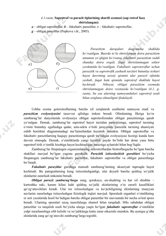 it shaklida hayot kechiradi. ular xo‘jayin o‘simliklarni zararlaab, parazit sifatida yashaydi, o‘simlik nobud bo‘lgach, uning organik birikmalari bilan oziqlanib, hayotini saprotrof shaklida davom ettiradi. o‘simlik to‘qimasini oldin nobud qilib, keyin o‘lik to‘qima bilan oziqlaniish tufayli fakultativ parazitlarni nekrotrof parazitlar ham deb atashadi. fakultativ parazitlar uzoq vaqt davomida saprotrof sifatida oziqlanishi va faqat muayyan sharoitda o‘simlikning tirik to‘qimalariga o‘tishi mumkin. odatda fakultativ parazit o‘simlikni noqulay sharoit yuzaga kelganda – o‘simlik zaif bo‘lib qolganida, uning to‘qimalari shikastlanganida yoki qariganida zararlaydi. 4.1-rasm. saprotrof va parazit tiplarining shartli sxemasi (sap rotrof faza shtrixlangan): a – obligat saprotroflar; b – fakultativ parazitlar; v – fakultativ saprotroflar; g – obligat parazitlar (popkova i dr., 2005). parazitizm darajalari diagramma shaklida ko‘rsatilgan. buerda to‘la shtrixlangan doira parazitizm umuman yo‘qligini ko‘rsatsa, fakultativ parazitizm xuddi shunday doira orqali, faqat shtrixlanmagan sektor yordamida ko‘rsatilgan. fakultativ saprotoroflar uchun parazitik va saprotrofik yashash tarzlari butunlay teskari hayot davrining asosiy qismini ular parazit sifatida …