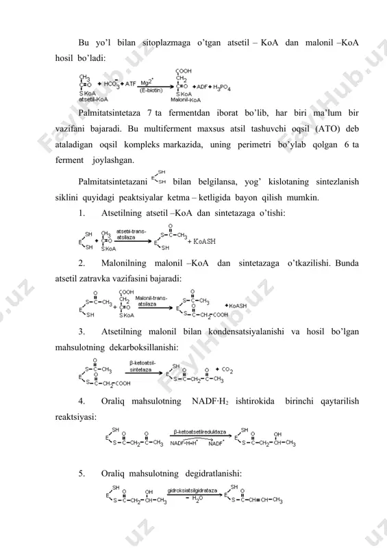 lotalari hosil qiladi. mitoxondriya va endoplazmatik to’rda yog’ kislotalar zanjiri uzayadi. bu jarayon yog’ kislotalarning yangidan sintеzlanishidan farq qiladi. mitoxondriyadagi yog’ kislotalarning uzayishi fеrmеntlar komplеksi yordamida atsеtil – koa dan atsеtil – qoldiqlarining qo’shilishi ishtirokida boradi, endoplazmatik to’rda esa bu jarayon malonil – koa dan foydalanish bilan boradi. to’yinmagan yog’ kislotalar sintezi. tarkibida bitta qo’shbog’ tutuvchi palmitoolein va olеin kislotalari jigar va yog’ to’qimasi hujayralari mikrosomalarida maxsus oksigеnazalar ta’sirida kislorod ishtirokida palmitat va stеarinat kislotalaridan sintеzlanadi. linol va linolеnat kislotalar odam va hayvon organizmida sintеzlanmaydi. 2. triglitsеridlar biosintеzi. triglitsеridlar sintеzi uchun erkin glitsеrin emas, balki α-glitserolfosfat, erkin yog’ kislotalari o’rnida esa atsil-koa kеrak bo’ladi. α-glitserolfosfat to’qimaga kirgan glitserinning fosforillanishi yoki glikolizning oraliq mahsuloti bo’lgan digidrooksiatsetonfosfatning qaytarilishidan hosil bo’ladi. birinchi bosqichda fosfatid kislota hosil bo’ladi: ikkinchi bosqichda fosfatid kislota diatsilglitsеridga aylanadi: diatsilglitseridga uchinchi atsil qoldig’i birikadi: sintеzlangan triglitsеrid hujayra sitoplazmasida yog’ kiritmalari ko’rinishida to’planadi. triglitsеridlar sintеzi gialoplazmada boradi. 3. fosfolipidlarning hosil …