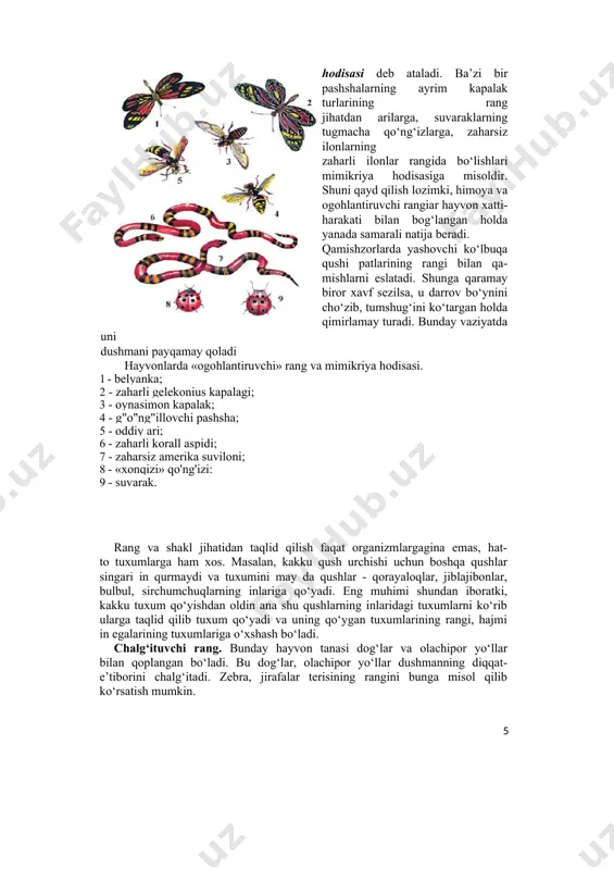 rim ikki pallali molluskalar shakli suv o‘simliklarining kurtak- lariga o‘xshash bo‘ladi. malayada tarqalgan kallima kapalagining qanotlari shakli, naqsh va tomirlari bargga o‘xshash bo‘ladi. ogohlantiruvchi rang. ba’zi hayvonlarning tashqi ko‘rinishi rang-barang bo‘lib, ko‘zga yaqqol tashlanadi. tillaqo‘ng‘iz, tugmachaqo‘ng‘iz, qovog‘ari, tukli ari, ko‘pgina kapalaklar, «do‘st-dushman» ko‘ziga yaqqol tashlanib, o‘z ranglari bilan ularni «ogohlantiradilar». odatda bunday ogohlantiruvchi rangga ega hayvonlarning dushmanlardan himoya qiladigan qo‘shimcha vositalari mavjud. ularning xususiy himoya vositalariga tanada ishlab chiqariladigan qo‘lansa hidlar, zaharli suyuqliklar, tananing tuklar bilan qoplanganligi,nayzalar va hokazolar kiradi. masalan, xonqizi qo‘ng‘izi zaharli suyuqlik ajrat- gani uchun qushlar ularni cho‘qimaydilar. mimikriya. ba’zi hollarda dushmanlari tomonidan ko‘p qiriladigan hayvon- lar tanasining rangi, shakli bilan «ogohlantiruvchi rangli» organizmlarga taqlid qiladi. hayvonlarda maskirovka. 1 - beshiktervatar; 2 - chupchik; 3 - ko'lbuqa; 4 - dengiz toychasi; 5 - lattachi baliq; 6 - dengiz «masxarabozi»; 7 - ninabaliq. kushandalari tomonidan ko‘p qiriladigan himoyasiz hayvonlarning «ogoh- lantiruvchi rangi» kam qiriladigan organizmlarga taqlid qilishi mimikriya …