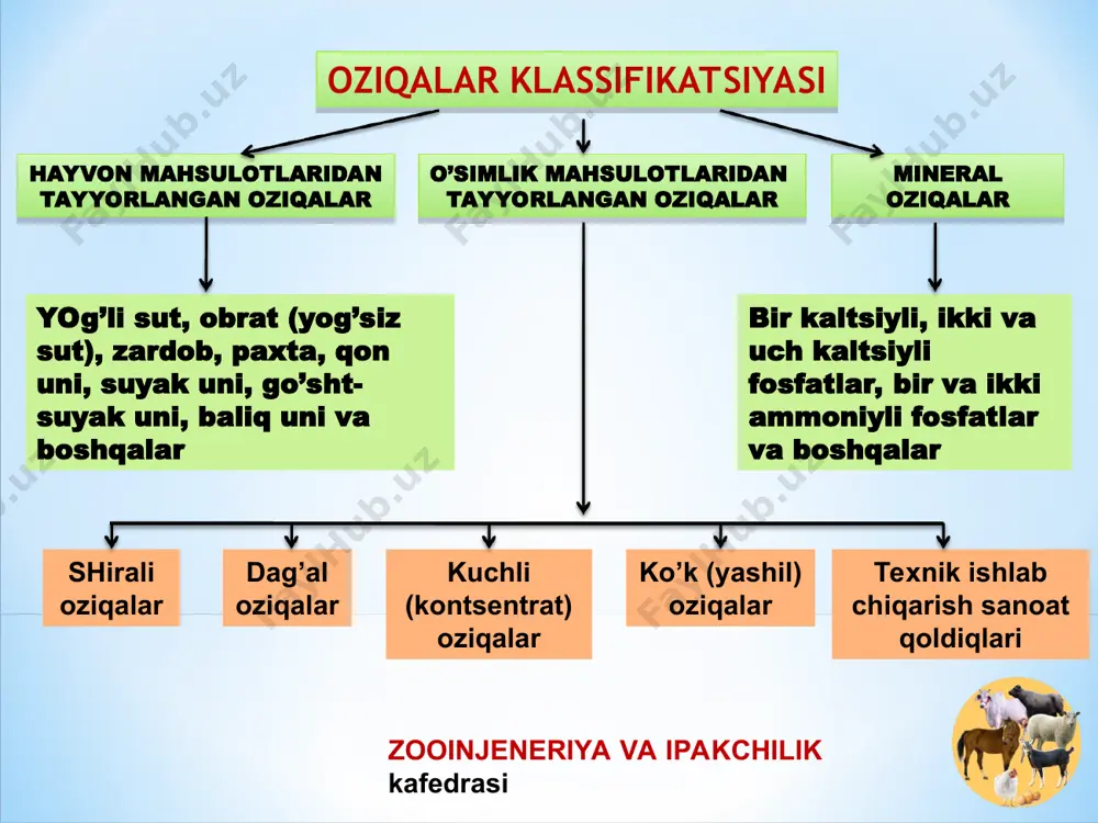 edrasi to’yimlilikning oziqa sifatiga va klassiga bog’liqligi oziqlar turi sifati klasslar bo’yicha i ii iii klassiz pichan silos senaj 0,47 0.18 0,32 0,42 0,16 0,29 0,36 0,13 0,25 0,28 0,09 0,20 zooinjeneriya va ipakchilik kafedrasi tayyorlangan turli sifatdagi oziqalar to’yimligi sifat klassi o’t talqoni pichan senaj silos oziqa birligi hazmlanuvchi protein, g oziqa birligi hazmlanuvchi protein, g oziqa birligi hazmlanuvchi protein, g oziqa birligi hazmlanuvchi protein, g i 0,71 115,2 0,49 42,5 0,33 34,0 0,19 15,0 ii 0,60 99,1 0,40 34,7 0,27 27,8 0,15 11,8 iii 0,50 81,8 0,30 26,0 0,20 20,6 0,10 7,9 klas-siz 0,35 57,6 0,20 17,3 0,14 14,4 0,07 5,5 zooinjeneriya va ipakchilik kafedrasi qiyin siloslanadigan o’simliklar: kartoshka palagi dukkaklilarning g’unchalash davri no’hotning gullash davri va donining pishish davri siloslanmaydigan o’simliklar: yo’ng’ichqa poliz ekinlari palagi soya yantoq qizilmiya sho’ra o’t va boshqalar engil siloslanadigan o’simliklar: makkajo’xori jo’xori kungaboqar ildizmevalar polizlar karam bargi suli va boshqalar zooinjeneriya va …