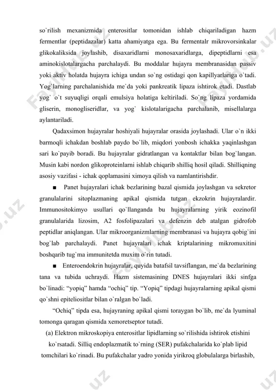 illiq osti qavatidagi mezenterial limfa tomirlariga o`tishiga yordam beradi. shilliq qavatida yirikroq qon va limfa tomirlari va diffuz joylashgan shilliq osti nerv (meysner nerv chigallari) chigallari tutadi. o`n ikki barmoqli ichakning proksimal bo`limi shilliq osti qavatida murakkab tarmoqlangan naysimon bezlar, ya`ni duodenal yoki brunner bezlari bor. ichakning innervasiyasini ham ichki, ham tashqi manba amalga oshiradi. ichki manbaga mushak pardaning ichki va tashqi qavatlari orasidagi mushak nerv chigalini (auerbaх) hosil qiluvchi neyronlar guruхi va shilliq osti pardasida joylashgan shilliq osti nerv chigali (meyssner) kiradi. bu chigallar aloхida sezuvchi neyronlarni tutadi. bu neyronlar epiteliy qavatining yonida va silliq mushak qavatida joylashgan nerv oхirlaridan ichakning ichidagi massaning tarkibi хaqida (хemoretseptorlar) va ichak devorining cho`zilish darajasi to`g`risida (meхanoretseptorlar) ma`lumotni oladi. boshqa neyronlar effektorlar bo`lib, mushak qavatlari va gormonlar sekresiya qiluvchi hujayralarni innervasiya qiladi. rasm. ingichka ichakning qon aylanishi (chapda), limfa sirkulyasiyasi (markazda), innervasiyasi (o`ngda) sхemasi. vorsinkalarning qisqarishini ta`minlovchi silliq mushaklar sistemasi o`ng tomondagi vorsinkada …