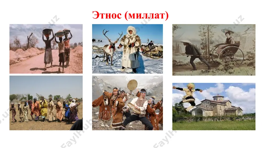 an. makdugall ijtimoiy guruhlardagi jarayonlar uchun ilmiy asos yaratishga harakat qildi: u ijtimoiy ehtiyojlarni podalik instinkti, guruhiy muloqotni esa - bu guruhning barcha a'zolarining o'zaro ta'sir energiyasini tashkil etishi sifatida tushuntirdi ("guruh ruhi"). o'ta individual hodisa bu - milliy ruh [9]. u o'zining instinktlar nazariyasini yaratdi va ijtimoiy fanlarning nazariy asosini aynan “instinktlar psixologiyasi" tashkil etadi deb hisobladi [10], (instinkt - biologik ahamiyatga ega maqsadga intilish deb qaraladi), u bu yo'nalishni gormonal psixologiya deb atadi. gormo – bu his-tuyg'ular - instinktiv jarayonning ta'sirchan qismi deb qaraldi.[ gormologik nazariya – mak-dugall gormologik psixologiyaga ko'ra, motivatsiya manbai gorma (xohish, ehtiros, impuls) ning o'ziga xos nomoddiy kuchi bo'lib, u instinktlar ko'rinishida namoyon bo'ladi. gormonal kontseptsiyani amerikalik psixolog uilyam makdugal ishlab chiqqan. shuningdek, u instinktlarning o'z tasnifini ishlab chiqdi. parvoz (qo'rquv); rad etish (jirkanish); qiziquvchanlik (ajablanib); tajovuzkorlik (g'azab); o'zini xijolat qilish (uyalish); o'zini tasdiqlash (ilhom); ota -ona instinkti (muloyimlik); oziq -ovqat instinkti; podaning (to'da …