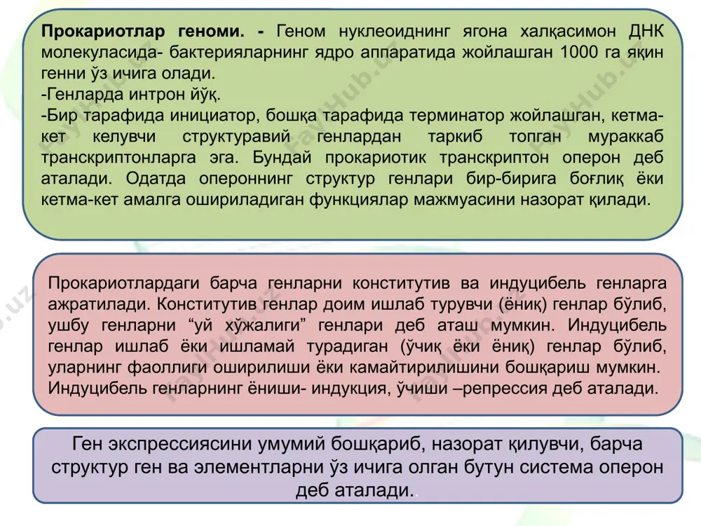 геномлар хилма-хиллиги ва уларнинг структураси - Page 5