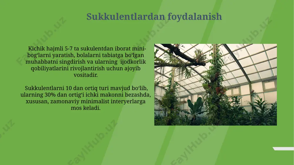 suvo‘tlarning sistematikasi - Page 4