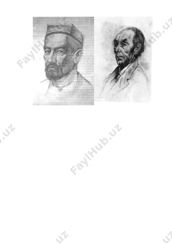 inson boshini elka kamari bilan tasvirlash - Page 5
