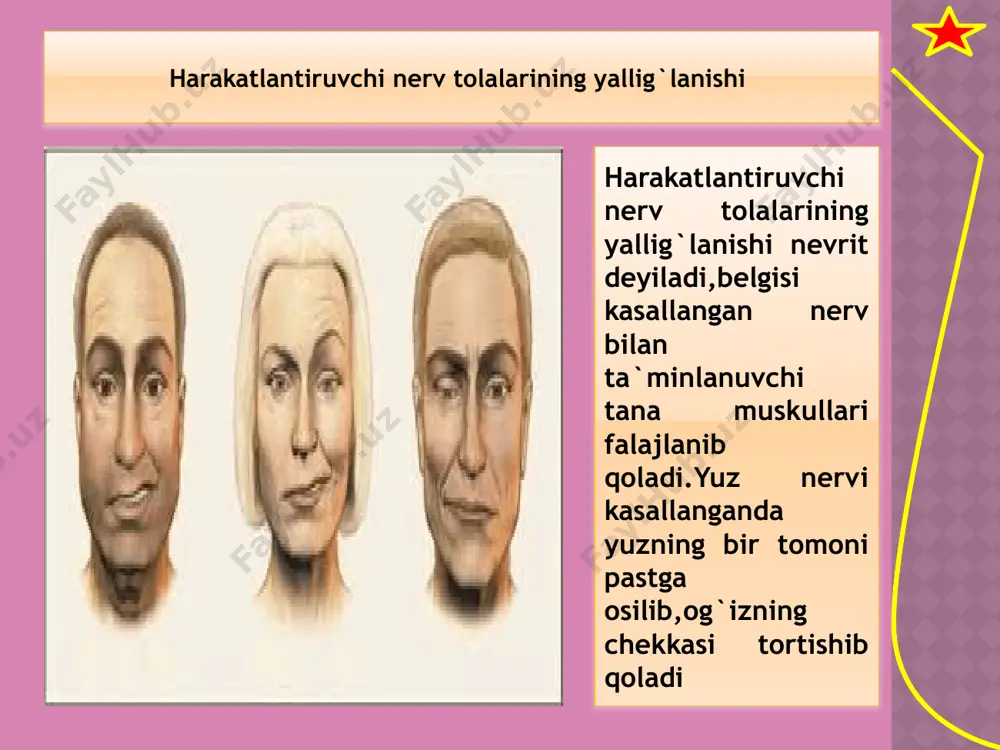 nerv sistemasi kasalliklari - Page 5