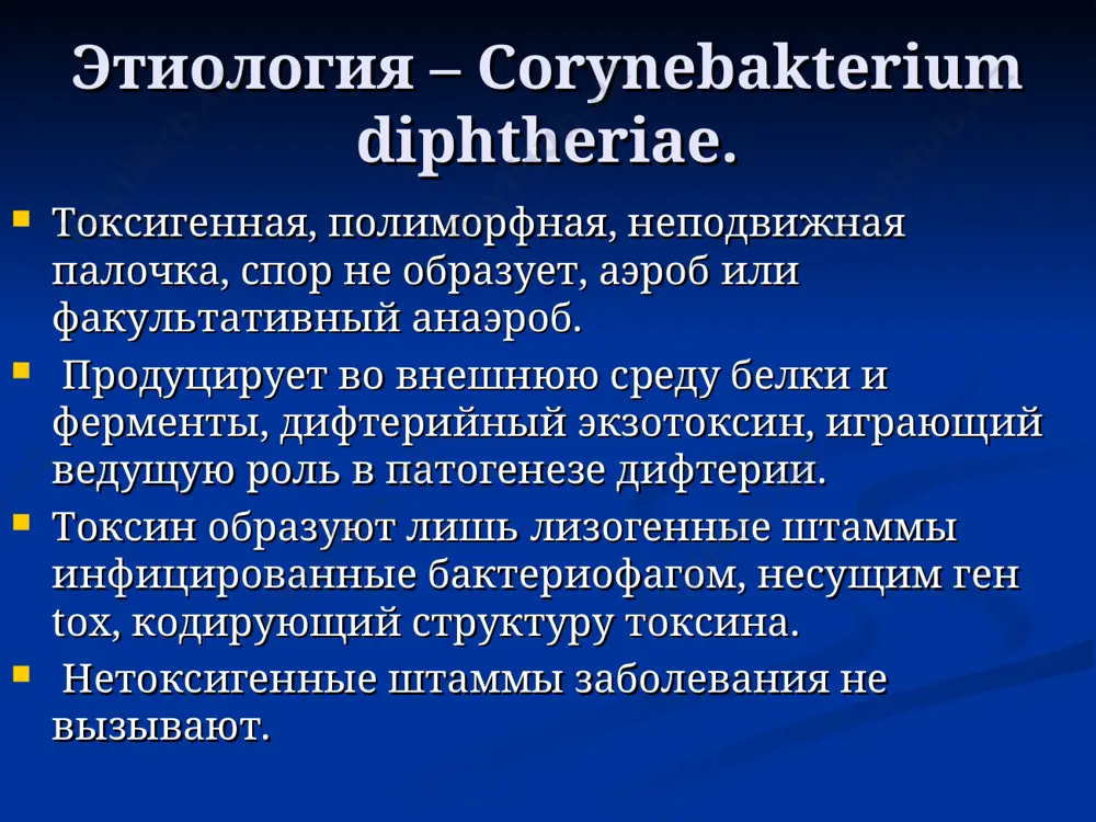 степени отек доходит до середины шеи, при ii степени - до ключицы, при iii степени - ниже ключицы. надавливание в области отека безболезненно и не оставляет следа. может наблюдаться болевой тризм. часто изо рта больных токсической дифтерией ii-iii степени ощущается приторно-сладковатый запах. язык обложен, сухой, на губах трещины. гипертоксическая форма дифтерии внезапное начало заболевания. температура тела повышается до 40 °с и выше, резкая бледность, цианоз носогубного треугольника, многократная рвота, судороги, температура критически падает. на фоне возникшего итш быстро прогрессируют гемодинамические расстройства - бледность, мраморность кожи, холодные конечности, тахикардия. затем возникают одышка, олигурия и признаки геморрагического синдрома. при токсикогеморрагической форме налеты пропитываются кровью, наблюдаются кровоточивость из мест инъекций, петехии, кровоизлияния, в кожу, слизистые, профузные кровотечения. смерть может наступить в первые 3-4 дня болезни. дифтерия гортани. дифтерия гортани (локализованный круп) характеризуются постепенным развитием основных симптомов: осиплости голоса, грубого кашля стеноза. периоды течения дифтерии гортани. выделяют три периода: катаральный; стенотический; асфиксическпй. катаральный, начинается …