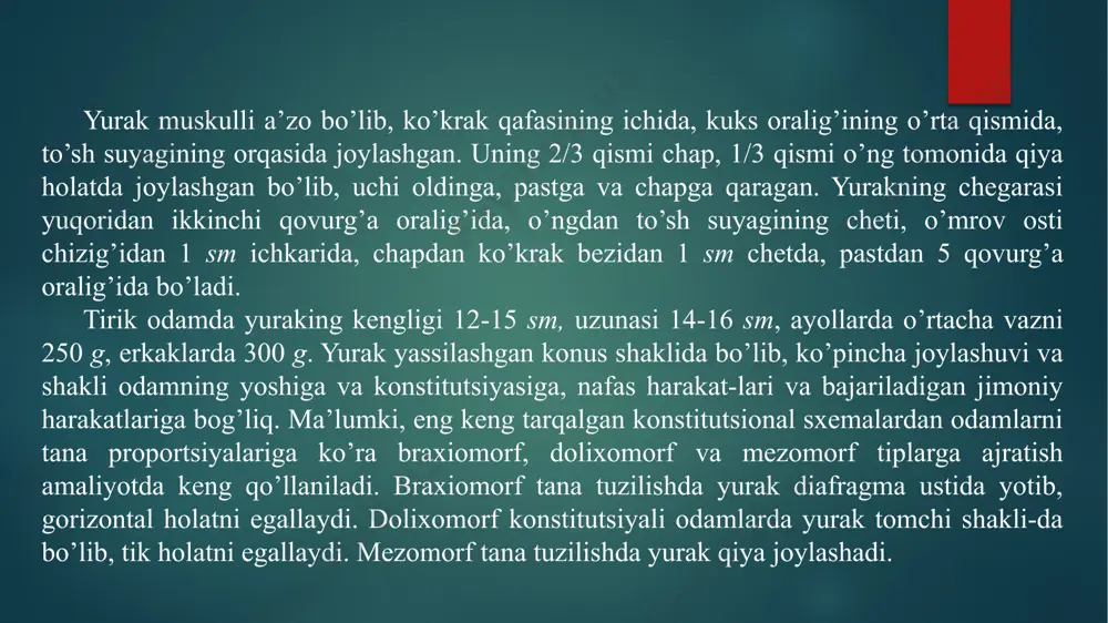 yurakning katta venasi, 5 – chap qorincha, 6 – o’ng qorincha, 7 – o’ng tojsimon arteriyasi, 8 – o’ng quloqcha, 9 – aorta yoyi, 10 – yuqorigi kavak vena yurakning o’ng bo’lmachasi bilan o’ng qorinchasi chega-rasida qorinchaning o’ng bo’lmacha – qorincha teshigi bor. bu teshik qorincha qisqarganda (sistolasida) uch tabaqali qopqoq (klapan) bilan yopiladi. uch tabaqali klapan yuzasidan ingichka pay iplari boshlanadi va bu paylar borib so’rg’ichsimon muskullarga birikadi. natijada har bir so’rg’ichsion muskul klapanga pay iplari yordamida tutashib turadi. o’ng qorincha qon o’ng bo’lmachadan o’ng bo’lmacha-qorincha teshigi orqali o’ng qorinchaga o’tadi. bo’lmacha-qorincha teshigining chetida uch tabaqali klapan joylashgan bo’lib, uning tarkibida oldingi, orqa va to’siqli tabaqalar farqlanadi. tabaqalar – endokard burmalari bo’lib, zich tolali biriktiruvchi to’qimadan tuzilgan. tabaqalarni tutashish joyida biriktiruvchi to’qima o’ng bo’lmacha-qorinchali teshikni atrofini chegaralab turgan fibroz halqaga aylanadi. tabaqalarning bo’lmachali sirti silliq, qorinchali sirti esa notekis bo’lib, bo’rtiqlaridan payli ipchalar boshlanadi. o’ng qorincha uch qirrali piramida …