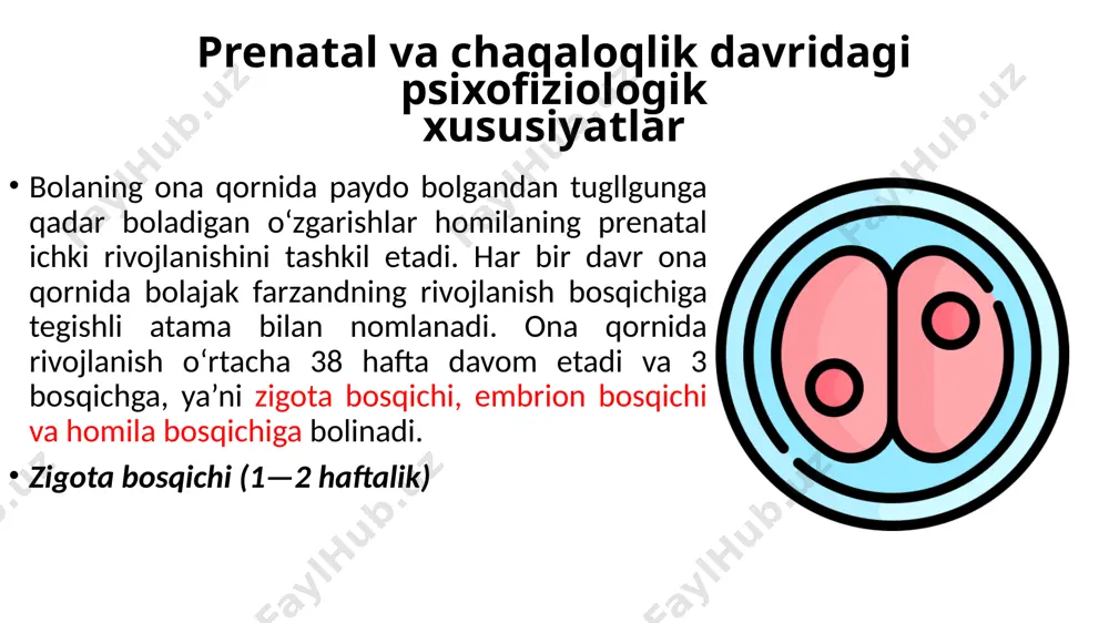 bu vaqt davomida tana tuzilishi va ichki organlar rivojlanadi. davr boshida embrionda uch qavat hujayralar tiklanadi. tashqi qavatda ektodermadon sochlar, terining tashqi qavati va nerv tizimi rivojlanadi. 0 ‘rta qavatda mezodermadon, muskullar, suyaklar va qon tomirlari tizimi hosil boladi. ichki qavatda yoki endodermadon ovqat hazm qilish tizimi va o‘pkalar rivojlanadi. uch haftalik embrion bilan sakkiz haftalik embrion solishtirilganda uning ko‘rinishida sezilarli o‘zgarishlarni ko‘rishimiz mumkin. 3 haftalik embrion uzunligi 2 millimetrdan oshmaydi. hujayralarning darajalarga bolinishi boshlanib, organizm ko‘proq salamandrani eslatadi. 0 ‘sish va rivojlanish tezlik bilan amalga oshadi, 8 haftalik embrionda ko‘zlar, og‘iz, qo‘1 va oyoqlarni ko‘rish mumkin, miya va nerv tizimi ham juda tez rivojlanadi, embrion yuragi bir oy avval o‘z faoliyatini boshlab yuborgan boladi. embrionda odamga xos organlar u yoki bu shaklda mavjud boladi, lekin uning olchamlari onaga sezilarli darajada bolmaydi. embrionga amnion suyuqligi bilan to‘lgan amnion qobig‘i joylashadi. amnion qobig‘i embrionni himoya qilib, doimiy haroratinita’minlab turadi. embrion ona …