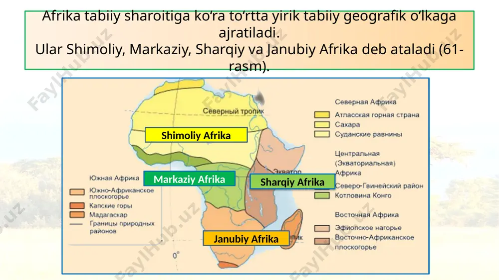 is joylashgan. aholining joylashishiga birinchi navbatda tabiiy sharoit ta’sir etgan bo‘lsa, keyingi navbatda tarixiy sabablar ta’sir ko‘rsatgan. o‘rta dengiz sohillari, gvineya qo‘ltig‘i va materikning janubi-sharqiy sohillarida aholi zich joylashgan. afrika tabiatiga insonning ta’siri. milliy bog‘lari, qo‘riqxonalari. xix asr boshlarigacha materik tabiati deyarli o‘zgarmagan holda saqlangan edi. insonning tabiatga ta’siri, ayniqsa, yevropaliklar materikka kirib kelganlaridan so‘ng kuchaydi. o‘rmonlar kesilib, o‘rnida ekinzorlar bunyod etildi. hayvonlarning ko‘plab ov qilinishidan ayrim noyob hayvon turlari (fil, karkidon, gorilla, zebra, antilopa va b.) kamayib boryapti. foydali qazilmalarning qazib olinishi atrof-muhitga katta zarar yetkazmoqda. ekvatorial o‘rmonlar savannalarga, savannalar esa cho‘llarga aylanib bormoqda. keyingi yarim asr mobaynida sahroi kabir cho‘lining maydoni 650 000 km2 ga kengaygan. sahroi kabir maydoni 8,6 mln (9,2 mln) km² cho‘llarni savannalarga bostirib kelishidan saqlash uchun sahroi kabirda uzunligi 1500 km bo‘lgan keng ihota o‘rmonlari bunyod etilmoqda. afrika tabiatini muhofaza qilish dolzarb masalaga aylangan. materikda o‘simlik va hayvonot olamini asrash maqsadida 392 ta milliy …