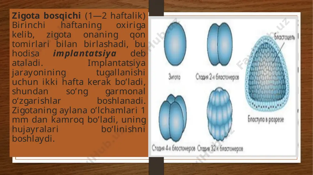 ularni qandayligini bilishga intiladi, tovushlarga e’tibor beradi va predmetlarni harakatlantirish yordamida shu tovushlarni o‘zi yaratishga harakat qiladi. u o‘z onasi va boshqa yaqinlari bilan emotsional munosabatga kirishadi. juda qisqa vaqt ichida, kattalarning yaqin kelishidan quvonadigan bolaga aylanadi. katta odamning yuragi 1 minutda o’rtacha 70-75 marotaba ursa, chaqaloq bolaning yuragi 120 va undan ortiq marta uradi. normal o’sib borayotgan bola yarim yoshga yetganida uning vazni ikki barobar, 1 yoshga yetkanida esa 3 barobar ortadi. chaqaloq bola bir minutda 50 -60 marta nafas olsa, kata yoshli odam huddi shu vaqtda 14-16 marta nafas oladi. 2-3 oylik bolalarda ta’sir qilayotgan narsalarni farqlash qobiliyati yuzaga kela boshlaydi. bola 3 oylik bo’lgach atrofdagi juda ko’p narsalardan olamni farqlay boshlaydi. (yaqinlarini odamni) 4 oylik bola narsalarga qo’l cho’za boshlaydi. 4—5 oyligidan boshlab, bola o‘z yaqinlarini begonalardan ajrata boshlaydi. kattalar bilan emotsional munosabat shu yoshdagi bolalarning asosiy yetakchi faoliyati bo‘lib, bola psixik taraqqiyotining asosi bo‘lib hisoblanadi. 3—4 …
