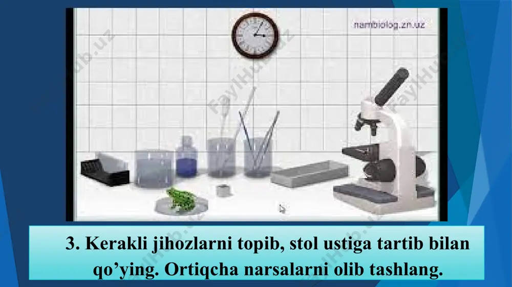biologiya fanidan tayyorlagan "ochiq dars taqdimotlari" - Page 4