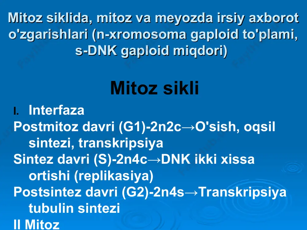 hujayralarida mavjud bo‘lib, irsiy axborotni saqlash, nasldan naslga o‘tkazish funksiyalarini bajaradi. dnk eukariot hujayralar yadrosida, shuningdek, mitoxondriya va plastidalarda bo‘ladi. rnk asosan sitoplazmada joylashgan bo‘lib, qisman yadroda, (dnk) riboza(rnk) plastida va mitoxondriyalarda ham uchraydi. prokariot hujayralarda dnk va rnk sitoplazmada joy- purin pirimidin lashgan. asoslari asoslari nuklein kislotalar polimerlar bo‘lib, ularning monomerlari nukleotidlar hisoblanadi. har bir mononukleotid 3 ta komponentdan tuzilgan: azotli asos, monosaxarid, fosfat kislota qoldig‘i azotli asoslar tuzilishiga ko‘ra, purin va pirimidin asoslariga bo‘linadi. purin asoslari olti va besh- adenin sitozin burchakli ikkita halqaning birlashishi natijasida hosil bo‘ladi. (dnk,rnk) (dnk,rnk) pirimidin asoslari faqat bitta olti burchakli halqadan iborat. purin asoslarining 2 xil turi – adenin (a) va guanin (g) hamda pirimidin asoslarining 3 xil turi – sitozin (c), timin (t) va uratsil (u) mavjud. dnkda adenin, guanin, sitozin va timin azotli asoslarini o‘z ichiga olgan nukleotidlar; rnk tarkibida adenin, guanin, sitozin va uratsil dnk tarkibiga kiruvchi nukleotidlar dezoksiribonukleotidlar, …