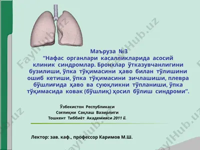 naftas organlari kasalliklari asosiy klinik sindromlar — PPT
