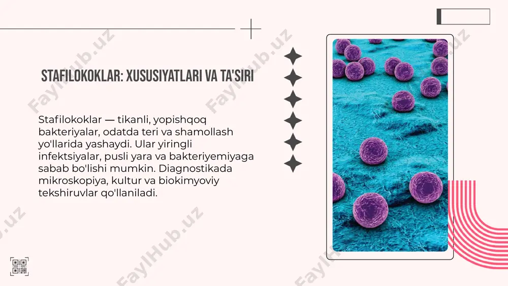 okoklar odatda o'pkada yallig'lanishga sabab bo'ladi, meningokoklar esa meningit va sepsishga olib keladi. pnevmokoklar ko'proq bolalar va qariyalar orasida yuqumli, meningokoklar esa tez-tez epidemiyalarni chaqiradi. klinik belgilar: yuqori harorat, bosh og'riq, qizarish. mikroblar: gram-pozitiv, aerob, kapsulali, farqlari diagnostika va davolashda muhim. 02. stafilokok va streptokok: laboratoriya tashxisi laboratoriyada stafilokok va streptokokni aniqlash uchun bakteriyal kultivatsiya, mikroskopiya, serologik testlar va pcr usullari qo'llaniladi. stafilokoklar odatda qattiq klasterlar shaklida, streptokoklar esa chiziqli yoki zanjirli holatda bo'ladi. antijenik va rezistentlik xususiyatlari bilan farq qiladilar. pnevmokok va meningokok: laboratoriya tashxisi laboratoriya usullari: pnevmoniya va otit uchun kultur, mikroskopiya, serologiya va molekulyar testlar; meningokok uchun esa qon, bepushtlik suyuqligi va qon testlari. pnevmonokoklar asosan bronx va qon bilan aniqlanadi, meningokoklar esa miya suyuqligi va qon orqali. farqlar: pnevmoniya, otit, meningit va septic shock. xulosa yiringli yalligʻlanish kasalliklari uchun bakteriyalar va ularning tashxis usullari muhimdir. bakteriyalarning aniqlashida bakteriologik, serologik va molekulyar metodlar qoʻllaniladi, bu esa davolash …