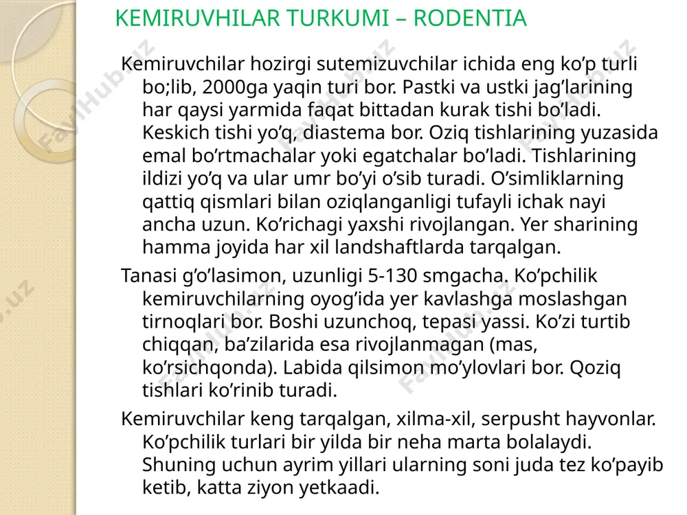 i, bargi, o’t va ildizlar bilan oziqlanadi. g’or va kovaklarda, tog’ etaklarida, cho’llarda yashaydi. o’rta yer dengizi, afrika, osiyoda tarqalgan. tipik vakili jayra (hystrix leucura) hisoblanadi. jayra ba’zi joylarda poliz ekinlariga jiddiy zarar yetkazadi. qo’shoyoqlar (dipodidae) oilasi afrika va osiyoning dasht va cho’llarida tarqalgan. oldingi oyoqlariga nisbatan keyingi oyoqlari uzun va kuchli bo’lishi bilan xarakterlanadi. ko’rsichqonlar (spalacidae) oilasi vakillarining gavdasi qayroqsimon, quloq suprasi yo’q, ko’zlari teri ostiga yashiringan, mo’ynalari kalta va baxmaldek tekis, boshi nisbatan keng bo’ladi. krotlar yerni oldingi oyoqlari bilan qazisa, ko’rsichqonlar yuqori jag’idagi kurak tishlari bilan kovlaydi va tuproqni boshi bilan chiqaradi. o’simlik ildizi bilan oziqlanadi. kavkaz va rossiyaning yevropa qismidagi dashtlarda tarqalgan. jayra(hystrix leucura) va qo’shoyoq(dipodidae) ko’rsichqon (splacidae) sichqonlar (muridae) oilasiga uy sichqoni (mus musculus), o’rmon sichqoni (apodemus sylvaticus), kulrang kalamush (rattus norvegicus), odatdagi dala sichqoni (microtus arvalis), ondatra (ondatra zibethica)lar kiradi. sichqonlar(mus) ning gavdasining uzunligi 12smgacha, dumi gavdasining uzunligiga teng. yer yuzining deyarli barcha joylarida …
