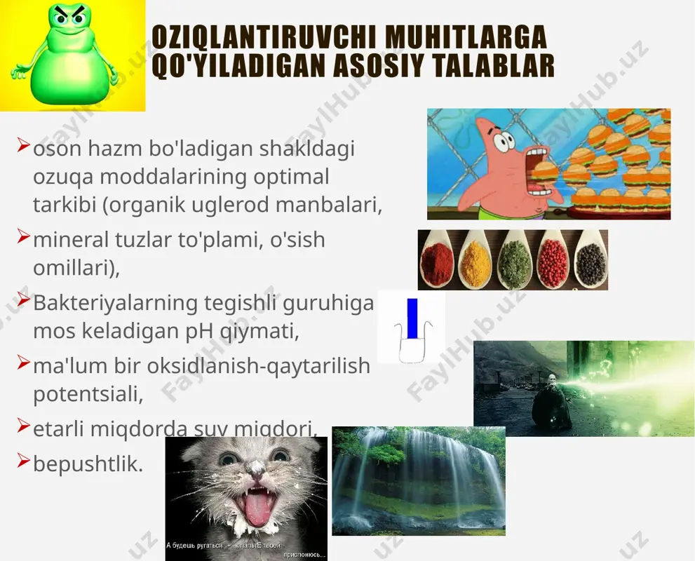 ( izotoniklik ) ba'zida go'sht yoki xamirturush ekstrakti qo'shiladi. escherichia kabi juda ko'p oddiy mikroorganizmlarni etishtirish uchun javob beradi. coli , stafilokokklar aureus , pseudomonas aeruginosa . murakkab ommaviy axborot vositalarini tayyorlash uchun ishlatilishi mumkin misollar: go'sht-peptonli bulon ( mpb ) - suyuq muhit go'sht-pepton agar ( mpa ) - qattiq muhit grm ( baliq uni gidrolizat + natriy xlorid + agar ) tripton soya agar boyitilgan ommaviy axborot vositalari oddiy ommaviy axborot vositalarining tarkibiy qismlaridan tashqari, ular tez mikroorganizmlarning o'sishini rag'batlantiradigan qo'shimcha ingredientlarni o'z ichiga oladi. uglevodlar bilan boyitilgan (shakarli bulon/agar) proteinlar bilan boyitilgan (shokoladli agar, zardob, astsitli bulyon/agar; miya-yurak bulyoni - talabchan patogen mikroorganizmlarni etishtirish uchun yurak-miya ekstrakti bo'lgan bulon) "shokolad" agar - qizdirilganda yo'q qilingan qizil qon hujayralarini o'z ichiga oladi. ulardan ajralib chiqadigan moddalar (jumladan, gemoglobin va nad) haemophilus influenzae va neisseria meningitidis kabi mikroorganizmlarning o'sishini qo'llab-quvvatlaydi . selektiv (selektiv) ozuqa muhiti ular mikroorganizmlarning ma'lum guruhlarini …
