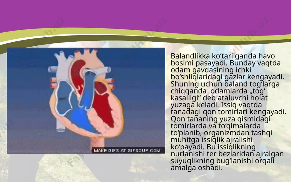 tashqi muhit omillarining yurak faoliyati va qon bosimiga ta’siri. 8 - sinf - Page 4