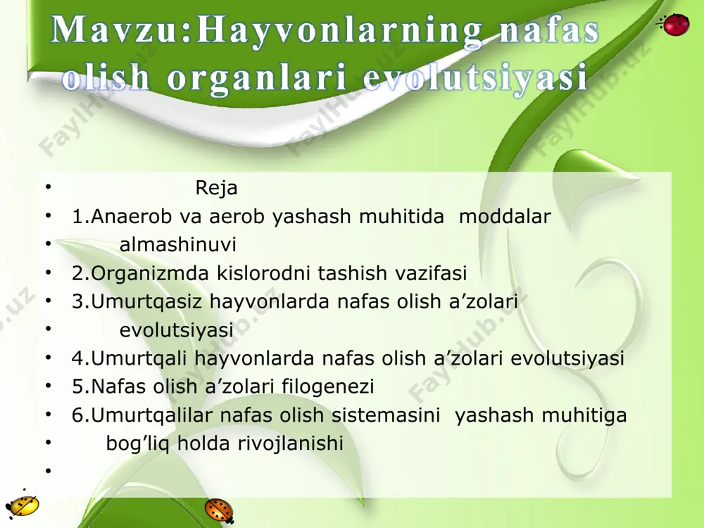 h a’zosi sutemizuvchilarning nafas olish a’zolari 1.baliqlar bilan suvda hamda quruqlikda yashovchilarning nafas olish sistemasidagi o’xshashlik va farqlarni tushuntiring. 2.sudralib yuruvchilar bilan qushlarning nafas olish sistemasidagi o’xshashlik va farqlarni tushuntiring. 3.qushlar bilan sutemizuvchilarning nafas olish sistemasidagi o’xshashlik va farqlarni tushuntiring.