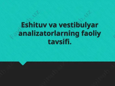 eshituv va vestibulyar analizatorlarning faoliy tavsifi — PPTX