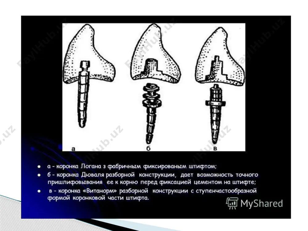 katsbo’yichashtiftlitishtayyorlashnikliniko-laboratorbosqichlari - Page 4