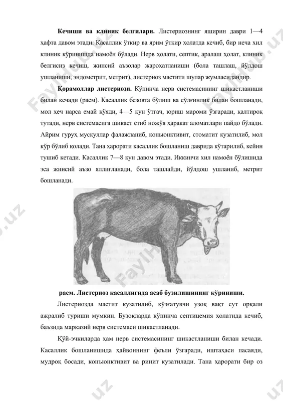 ошланганда кўтарилиб, кейин пасаяди. септик ҳолатда кечганда эса жуда безовта бўлиб, ҳеч нарса емай қўяди, умумий ҳолсизлик кузатилади, нафас олиш қийинлашади, қорин териси на қулоқда кўкимтир доғлар пайдо бўлади. катарал энтерит (ич кетиши) рўй беради. ҳарорат кўтарилиб, касаллик 3—4 кун давом этади. паррандалар листериози. уларда касаллик септик ҳолатда кечади. жўжа ва ёш товуқлар кўп касалланади. иштаҳа пасайиб, кам ҳаракат қилади, нафас олиш тезлашади, тез заифлашиб, бирдан тиришиб бзовталанади. мудроқ босиб, бирданига учиб тушади, айлана бошлайди ва йиқилади. оёқ, қанот ва буйинлари фалаж бўлади. конъюнктивит рўй бериб, парранда кўр бўлиб қолади. патологоанатомик ўзгаришлар. касалликнинг патологоанатомияси унинг намоён бўлиш шакли ва кечиш муддатига боғлиқ. нерв шаклида кечганда мияда шиш бўлиб, қон қуйилади. бошқа аъзоларда ҳам шу ҳолат намоён бўлиши мумкин. септик ҳолатда кечганда гиперемия кузатилиб, ўпка шишади, ошқозон-ичак йўлининг шиллиқ пардаларида катар бўлади. юрак мускули ва паренхиматоз аъзоларга қон қуйилади. талоқ катталашиб, жигар, буйрак ва миокардда некротик ўчоқчалар пайдо бўлади. лимфатик тугунлар …