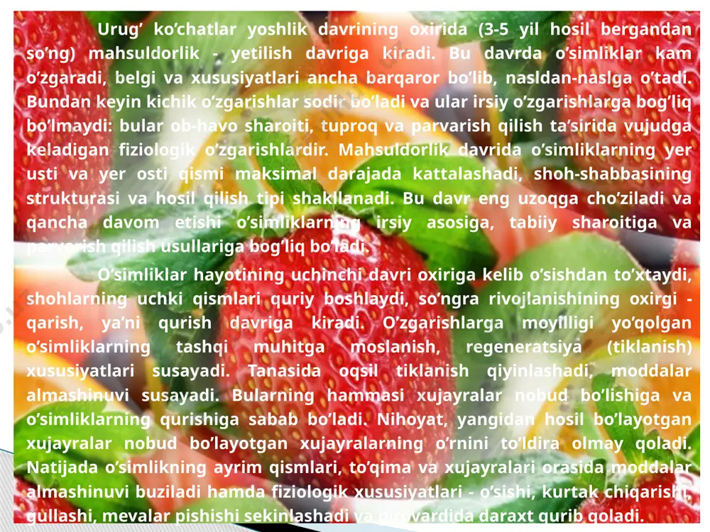 i ishlash, daraxtlarni va hosilni sovuq urishdan saqlash har yili yuqori va sifatli hosil olishda katta rol uynaydi. www.arxiv.uz beshinchi davr - hosil berish va quriy boshlash davri. bu davr ilgarigi davrning davomi hisoblanadi. bunda yuqori tartib nimjon asosiy shohlar, so’ngra yirikroq shohlar quriy boshlaydi. daraxtlar yaxshi hosil beraveradi, lekin mevasi unchalik sifatli bo’lmaydi. bu davrda ham xuddi ilgarigi davrdagi kabi agrotexnika tadbirlari qo’llaniladi. asosiy novda va shohlardagi chetki shohchalarni yoshartirishga, shoh-shabba orasidagi nimjon shohchalarni siyraklashtirishga, quriganlarini kesib tashlashga, daraxtni parvarish qilish va yerni ishlashga alohida e’tibor beriladi. oltinchi davr - quriy boshlash. hosil berish va o’sish davri. bu davrda meva daraxtining hayot faoliyati tobora susayadi. asosiy shohlar ko’plab quriy boshlaydi. barglari to’kilgan butoqlarda asosiy skelet tipidagi bachki novdalar paydo bo’ladi. hosilning sifati va miqdori pasayadi. bu davrda ham ilgarigi davrdagi kabi agrotexnika tadbirlari qo’llaniladi. lekin bu davrda bachki novdalardan asosiy novdalar yetishtiriladi. daraxt yaxshi parvarish qilinadi va yer yaxshilab …