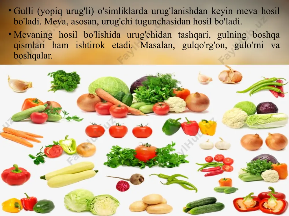 ar, birinchi navbatda, o'simliklarning ko'pa-yishi, tarqalishi va nasi qoldirishi uchun kerak. yowoyi holda o'sadigan o'simliklarning mevasidan tabiatdagi bar-cha tirik mavjudotlar oziqlanadi. ayrim mevalar yerga to'-kilib, chirib, yerni organik moddalarga boyitadi. odamlar hayotini esa mevasiz tasawur etib bo'lmaydi. mevalar be-vosita tabiiyligicha iste'mol qilinadi. ulardan oziq-ovqat va qandolatchilik sanoatida har xil mahsulotlar tayyorlanadi. mevalardan olinadigan moylardan xalq xo'jaligining turli sohalari (oziq-ovqat, texnika, og'ir sanoat, atir-upa)da foydalaniladi. savol va topshiriqlar meva qanday hosil bo'ladi? ho'l va quruq mevalar bir-biridan qanday farq qiladi? chin mevalardan soxta mevalarning farqi nimada? olma, nok, behi nima uchun soxta meva deyiladi? qanday mevalar danakli meva deb ataladi? image2.jpeg image3.jpeg image4.png image5.jpeg image6.jpeg image7.jpeg image8.jpeg image9.jpeg image10.jpeg image11.jpeg image12.jpeg image13.jpeg image14.jpeg image1.jpeg