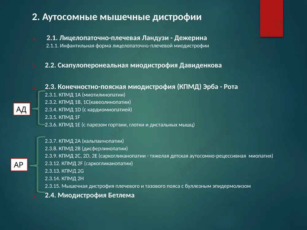 eme na lestnitsu, izmenenie poxodki po tipu «utinoy». vstavanie proisxodit poetapno s aktivnim ispolzovaniem ruk - «vzbiranie lesenkoy» ili «vzbiranie po samomu sebe». tipichnie jalobi roditeley — xodba detey na paltsax i chastie padeniya. retraktsiya axillovix suxojiliy ne pozvolyaet polnotsenno opiratsya na pyatki, chto opredelyaet xodbu na paltsax («generalskaya poxodka») mejdu 3 i 8 godami narastaet ukorochenie pyatochnix suxojiliy, formiruyutsya sgibatelnie kontrakturi v golenostopnix sustavax, razvivayutsya poyasnichniy giperlordoz, kifoskolioz grudnogo otdela pozvonochnika. pmd dyushenna. xarakternaya poza pri stoyanii, rodnie bratya 4 i 6 let glubokie refleksi izmenyayutsya s razlichnoy posledovatelnostyu. na rannix stadiyax ischezayut kolennie refleksi, pozje - refleksi s dvuglavoy i trexglavoy mishts. axillovi refleksi dlitelnoe vremya ostayutsya soxrannimi. xarakterni simmetrichnaya i neuklonno progressiruyushaya slabost v mishtsax beder i plechevogo poyasa, zatrudnyayushaya dvijeniya pri pod'eme, bege, prijkax, atrofiya mishts preimushestvenno tazovogo poyasa i beder, psevdogipertrofiya ikronojnix mishts psevdogipertrofiya ikronojnix mishts sozdaet obmanchivoe vpechatlenie o soxrannosti mishechnoy sili, raduet roditeley. …