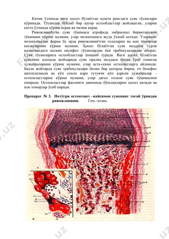 ge4.png image5.png