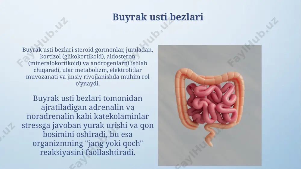 ib keladi. jinsiy bezlar (tuxumdonlar va moyaklar) jinsiy bezlar, ya'ni tuxumdonlar va moyaklar, gormonlar ishlab chiqarish bilan birga, ayollarda oositlar (tuxum hujayralari) va erkaklarda spermatozoidlar hosil boʻlishini ta'minlaydi, bu jarayonlar meioz orqali 23 xromosomali gametalarni hosil qilishni oʻz ichiga oladi. tuxumdonlar estrogen va progesteron kabi jinsiy gormonlarni ishlab chiqaradi, bu gormonlarning qon plazmasidagi konsentrasiyasi ayolning reproduktiv siklining turli bosqichlarida 10-50 ng/ml oraligʻida oʻzgarib turadi. gipotalamus va gipofiz bezi gipotalamus gipofiz beziga 7 ta gormon ishlab chiqaradi, shu jumladan, vazopressin va oksitotsin kabi peptid gormonlar va prolaktinni chiqarishni boshqaradigan gomonal omillarni ham o'z ichiga oladi. gipotalamik-gipofizar tizimda, gipotalamus gipofiz bezining oldingi lobiga 6 ta tropik gormonni chiqaradi, bu gormonlar qalqonsimon bez, buyrak usti bezi va jinsiy bezlar kabi boshqa endokrin bezlarning faoliyatini tartibga soladi. endokrin tizimning sog'lom turmush tarziga ta'siri muntazam jismoniy mashqlar, haftada kamida 150 daqiqa, qalqonsimon bez faoliyatini yaxshilaydi va insulin sezgirligini oshirib, qandli diabet xavfini kamaytiradi. sog'lom ovqatlanish, …