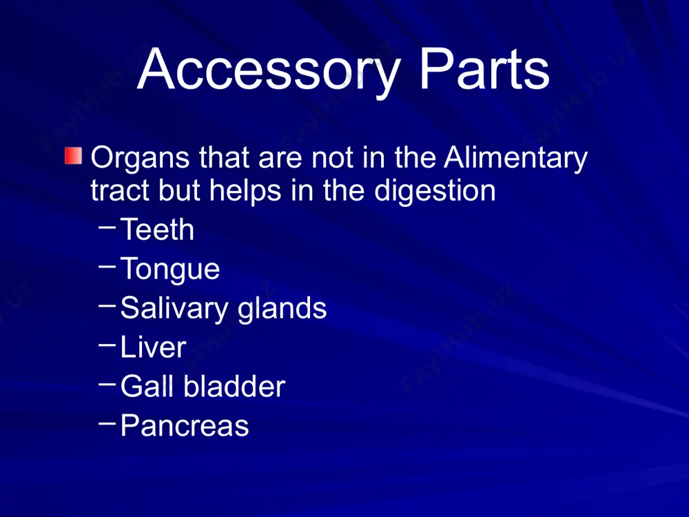 the alimentary tract - Page 4