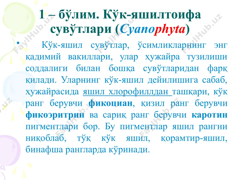 диам.0,5-2,5 мм. унинг маркази шилимшиқ суюқлик билан тўлган, уст томонидан иккита хивчини, ядроси, хроматофори, кўзчаси, тебранувчи вакуолалари бор. битта колонияда ҳужайралар сони 70-75 мингга етади. ҳужайра пўсти шилимшиқ бўлиб, тенг хивчинли. жинссиз кўпайишда- ҳужайралари энига ва бўйига бир неча марта бўлинади. натижада кичик ёш колониялар ҳосил бўлади. улар она колонияси ичида яшаб, эркин ҳаракат қилади, ўсади ва хивчин чиқаради. маълум вақт ўтгач ёш колониялар она колония деворчасини ёриб ташқарига чиқади ва мустақил яшай бошлайди. она колония нобуд бўлади. жинсий кўпайиш оогамия йўли билан кечади. вольвокснинг битта колониясида антеридий ва оогоний деб аталадиган алоҳида жинсий органлар етилади. уруғланишдан сўнг, зигота ҳосил қилади. зигота қалин пўст билан ўралади ва запас озиқ моддалар тўплайди. қишда тиним даври бошланади, баҳорда эса ўса бошлайди. ўсиш олдидан оддий бўлиниш йўли билан кўп ҳужайралар ҳосил қилиб, шарга айланади ва сув бетига чиқади. улотрикс-ulothrix улотрикс ипсимон кўринишга эга бўлиб, жуда кўп сонли ҳужайралардан ташкил топган. унинг талломи ташқи …