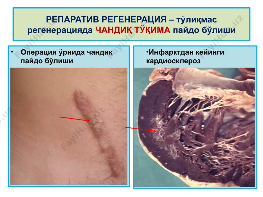 мосланиш-ўрин алмашиниш жараёнлари - Page 5