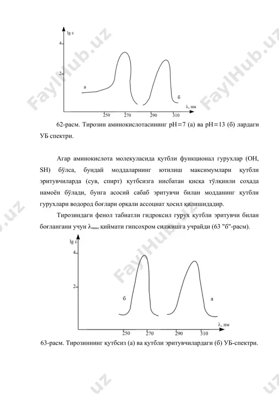 лларда асосан ароматик хромофорлар соҳаси эътиборга олинади, аммо карбонил гурухи учун тегишли бўлган 190 нм соҳани ўлчаш учун мураккаб асбоб керак бўлади. спектроскопик услубда концентрацияни аниқлаш жараёнида албатта ютилиш қиймати билан молекуланинг конформацияси орасидаги боғлиқликни эътиборга олиш зарур. бу ишларни амалга ошириш учун албатта стандарт намуналар ва стандарт шароитлардан фойдаланилади. 3. уб-спектри ёрдамида днк да бўладиган денатурация ва ренатурация жараёнларини ўрганиш агар днк ни маълум температура оралиғида қизди-рилса, d260 қиймат ошиб боради. бу жараён гиперхромия деб номланиб, денатурация учун мезон ҳисобланади, бунда днк жуфт спиралли тузилишдан тартибсиз йиғилган кўринишга айланади. оддий оптик услуб ёрдамида днк га температуранинг, рн нинг, қўшилган кичик молекулали моддаларнинг, қутбсиз ва қутбли эритувчиларнинг таъсирини ўрганиш мумкин. бу услуб днк нинг айрим муҳим хоссаларини ўрганишда аҳамияти катта ҳисобланади. днк нинг ҳарорат таъсирига барқарорлиги гуанин-цитозин жуфти миқдорига боғлиқ, чунки бу икки асоснинг орасидаги водород боғларининг энергияси аденин-тимин жуфти ҳосил қилган водород боғ энергиясидан катта бўлади. гуанин цитозин аденин …