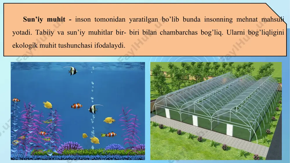 adigan fotosintez va boshqa biokimyoviy jarayonlar atmosferadagi gazlar tarkibiga bogʼliqdir. biokimyoviy moslanish yogʼlarning biokimyoviy oksidlanishidan foydalanishi kabilar misol boʼladi. oʼsimliklarda kechadigan fotosintez va boshqa biokimyoviy jarayonlar atmosferadagi gazlar tarkibiga bogʼliqdir. hulqiy yoki etologik moslanishlar hayvonlar uchun xos boʼlib, turli shakllarda namoyon boʼladi. masalan, tashqi muhit bilan hayvon tanasi oʼrtasida normal issiqlik almashinuvi uchun in qurish boshpana topish), qulay haroratli joyni izlab topishi, qushlar va sutemizuvchilarda sutkalik va mavsumiy koʼchib yurishlar maʼlum. hayvonlar faqat harorat omiliga hulqiy tomondan moslashib qolmay, namlik, yorugʼlik va boshqa koʼpchilik ekologik omillarga ham moslashadi. hulqiy moslanishlar yirtqichlarning oʼljani izidan yurishi, kuzatish, hamda oʼljani javob reaktsiyalarida koʼrinadi. o’simliklarning yorug’lik omiliga moslashishi 1. yorug’sevar (geliofit) o’simliklar. 2. soyasevar (stsiofitlar) o’simliklar. 3. soyaga chidamli yoki fakultativ geliofit o’simliklar. 1. yorug’sevar (geliofit) o’simliklar. ular yorug’lik yetarli bo’lgandagina normal o’sishi va rivojlanishi mumkin. bunday o’simliklarga dasht, cho’l zonalaridagi o’simliklar, o’tloqzorlardagi qo’ng’irboshdoshlar va boshqa ba’zi turlar, o’rmon o’simliklar jamoasining birinchi qatlamini tashkil …
