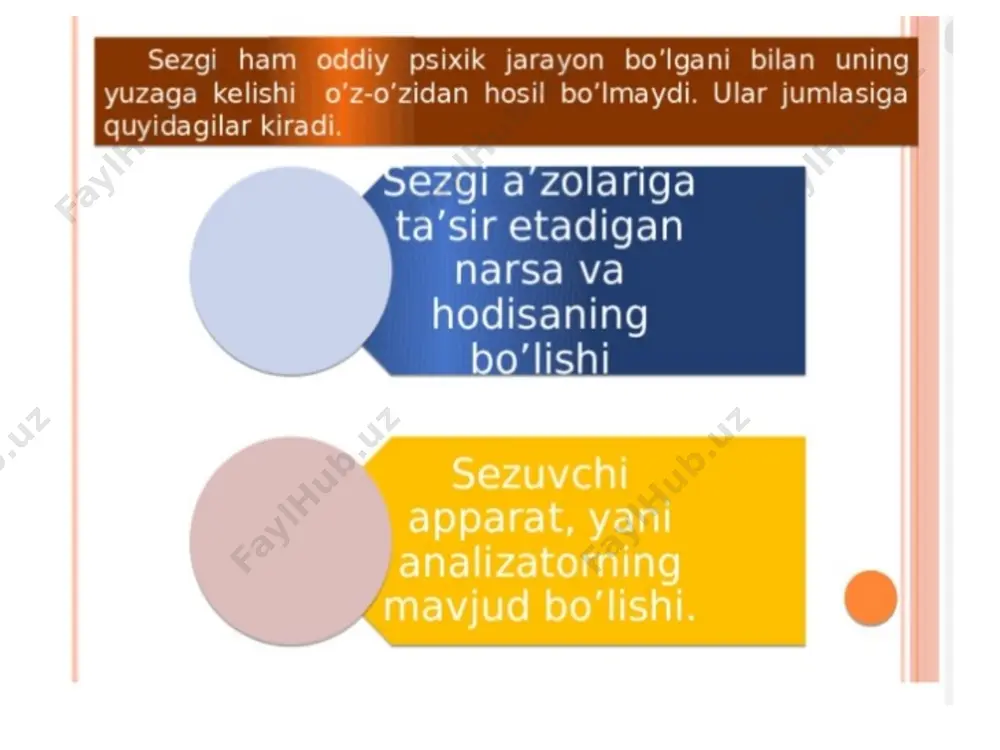 sezgilar va ularning turlari - Page 5