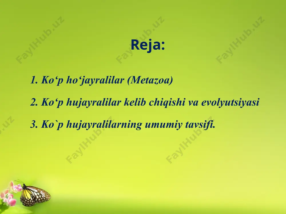 epitelial to`qima - himoya vazifasini bajaruvchi to`qima bo`lib, unga tashqi, terini qoplagan va ikkilamchi tana bo`shlig`i – selomni, shuningdek ichak va boshqa hazm organlarining ichki va tashqi devorini qoplagan to`qimalar kiradi. b) biriktiruvchi to`qimalar – bu to`qimalar ularning hujayralararo mahsulotlari turli xil hayvonlar tanasida nihoyatda ko`p tarqalgan bo`lib, juda murakkab va xilma-xil vazifalarni bajaradi. dastlab yassi chuvalchanglarda rivojlangan parenxima deb ataluvchi to`qimalar biriktiruvchi to`qimalardir. yuqori darajada tashkil topgan hayvonlardagi qon hosil qiluvchi organlar - taloq, jigar va hokazolar shu xil to`qimalardan tashkil topgan. g) nerv to`qimasining rivojlanishi kovakichlilardan boshlanadi va yuqori darajada rivojlangan ko`p hujayralilarda takomillashib boradi. ko‘p ho‘jayralilar (metazoa) metazoa – bu ko‘p ho‘jayrali organizmlar bo‘lib hayvonlar terminini ishlatish ham shulardan boshlangan. oldin pratozoa ham metazoa ham hayvonlar deb yuritilib, metazoa (ikkilamchi hayvonlar) deb atalishi (pratozoa - birlamchi) bir ho‘jayralilardan keyin paydo bo‘lgan va kelib chiqqan degan ma’noni bildiradi. bundan tashqari hozirgi vaqtda ko‘p ho‘jayrali hayvonlar lotincha – animalia …