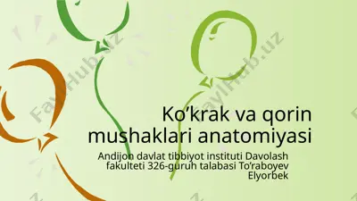 ko’krak va qorin mushaklari anatomiyasi — PPTX