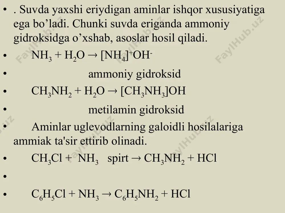 aminlar - Page 4