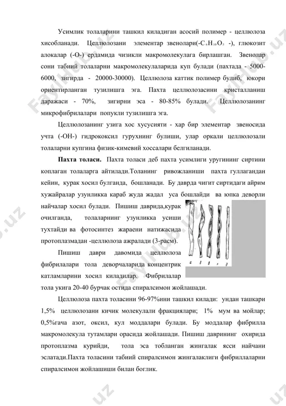 аражаси ва деворчалар калинлиги толанинг пишганлигига боглик булади. пишган толалар текис еки кам тобланган ясси тасма куринишига эга, уларни пишиклиги паст, эластиклиги кам булади, улар ёмон буялади. пишиб утган толалар эса калин деворли, пишиклиги юкори, тугри (жингалаксиз) шаклда ва каттик булади. бунака толаларни тукимачиликда ишлатиб булмайди. пишганлик даражасига караб 11 гурухга булинади: 0-дан (пишмаган тола) 5гача (пишиб утган) 0,5 интервал билан. энг яхши тукимачиликда ишлатиладиган толалар 2,0-3,5 пишганлик даражаси билан берилади. толаларнинг узунлигига караб калта толали 27 ммгача, урта толали 27-35 ммгача ва узун (ингичка) толали 35-50 ммгача пахтани фарк киладилар. калта толалар асосан нотукима полотно ва сунъий тола олиш учун ишлатилади. зигир толаси . тола олиш учун махсус зигир усимлиги етиштирилади. у бир йиллик булиб, буйи 80-90 см ва диаметри 1-2 ммгача етади. зигир усимлигини асосан шимолга якин зоналарда етиштирадилар. зигир поясининг кобик катламида икки хил хужайралар жойлашган: паренхим ва прозенхим. паренхим хужайраларда озика моддалари сакланади. прозенхим хужайралари ривожланиш …