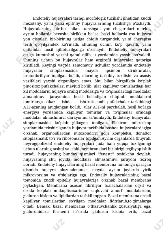 repisa terib qo’yilgandek ko’rinadi, shuning uchun ko’p qavatli, ya’ni qatlamlar hosil qilibtuzilganga o’xshaydi. endotleliy hujayralari o’ziga kumushni yaxshi qabul qilib, u yordamida yaxshi bo’yaladi. shuning uchun bu hujayralar ham argirofil hujayralar qatoriga kiritiladi. keyingi vaqtda zamonaviy uchullar yordamida endoteliy hujayralar sitoplazmasida mayda ipsimon strukturalar, protofibrillyar topilgan bo’lib, ularning tarkibiy tuzilishi va asosiy vazifalari yaxshi o’rganilgan emas. shu bilan birgalikda ko’plab pinositoz pufakchalari mavjud bo’lib, ular kapillyar tomirlardagi har xil moddalarni hujayra oraliq moddasiga va to’qimalardagi moddalar almaщinuvi jarayonida hosil bo’ladigan chiqindi moddalarni tomirlarga o’tkaz ishda ishtirok etadi. pufakchalar tarkibidagi atf-azaning aniqlangan bo’lib, ular atf-ni parchalab, hosil bo’lagn energiya yordamida kapillyar tomirlar va to’qimalar oraidagi moddalar almashinuvi darayonini ta’minlaydi. endoteliy hujayralar sitoplazmasida ko’plab glikogen topilgan. elektron mikroskop yordamida tekshirilganda hujayra tarkibida boshqa hujayralardagiga o’xshab, organoidlardan mitoxondriy, golji kompleksi, donador sitoplazmatik to’r va ribosomalar topilgan.ayrim organlarda (buyrak, neyrogipofizda) endoteliy hujayralari juda ham yupqa tuzilganligi uchun ularning tashqi va ichki membranalari bir-birigi tegibyop …