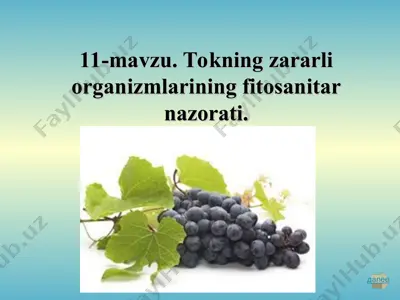 tokning zararli organizmlarining fitosanitar nazorati — PPT
