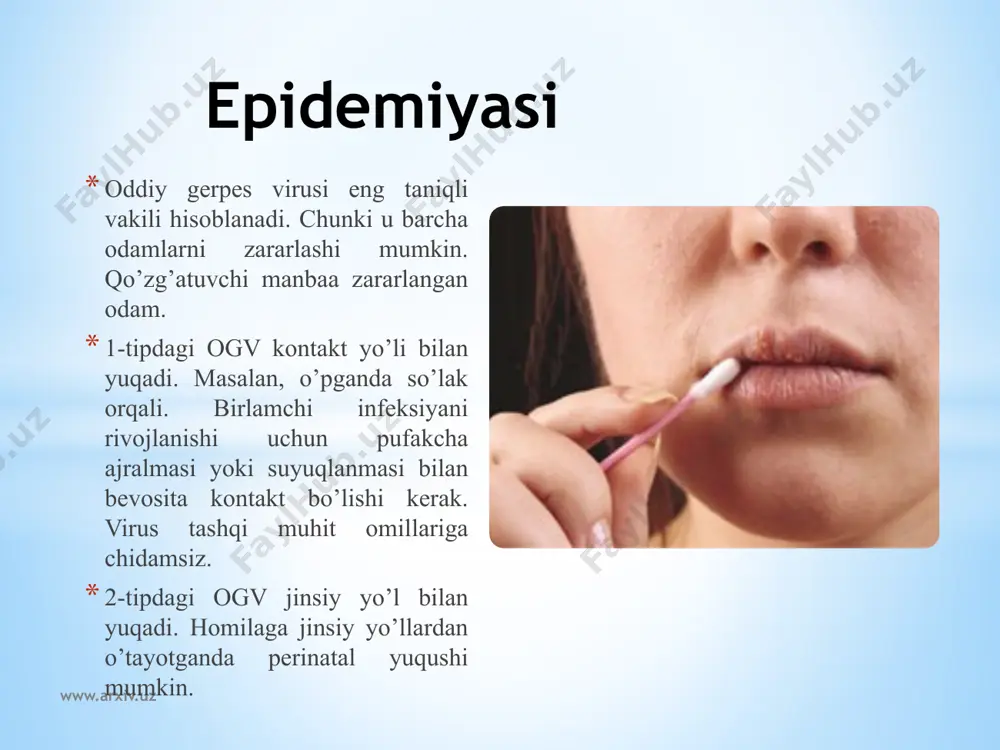 uz hayvonlar gerpesviruslari asosida tirik vaksinalarni ishlab chiqish chechak vaksiansi virusidan farqliroq, inson gerpes viruslarini tibbiyotda qo‘lash mumkin bo‘lgan polivalent tirik vaksinalarni tayyorlashda perspektiv ob’ektlar deb qarash mumkin emas. birinchidan, gerpesviruslarga latent holat xarakterlidir va begona antigenlarning uzoq vaqtli produksiyasi organizmga qanday ta’sir qilishi aniq emas. ikkinchidan, umuman olganda gerpesviruslarni rakli o‘smalar hosil bo‘lishi bilan bog‘laydilar. bularning hammasi gerpesviruslar asosida insonlar uchun tirik vaksinalarni olishni ishlab chiqishni va uni sanoat miqyosida ishlab chiqish imkoniga to‘sqinlik qiladi. boshqa tomondan sut emizuvchilar gerpesviruslari tirik veterinar vaksinalar yaratish uchun juda katta qiziqish uyg‘otadi. latent xolatda turuvchi va bunday holatda begona antigen produtsirlovchi virus organizmning boshqa mos keluvchi infeksion agentdan ishonchli himoyalashni ta’minlashi zarur. bundan tashqari, latent formadagi gibrid virus potensial tarzda infitsirlangan organizm ma’lum defektlarini u yoki bu polipeptidli produksiyalash bilan “tuzatishi” mumkin. www.arxiv.uz image1.jpeg image2.jpg image3.jpg image4.jpeg