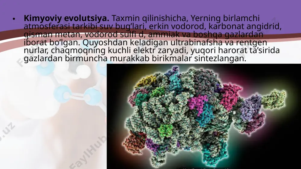 biokimyoviy evolutsiya nazariyasi. 10 - sinf - Page 5